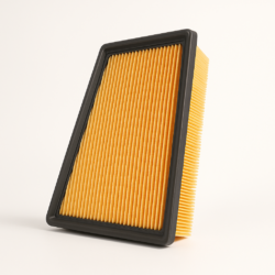 Standard Air Filter